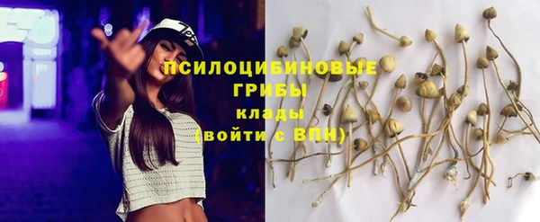 бутират Коряжма