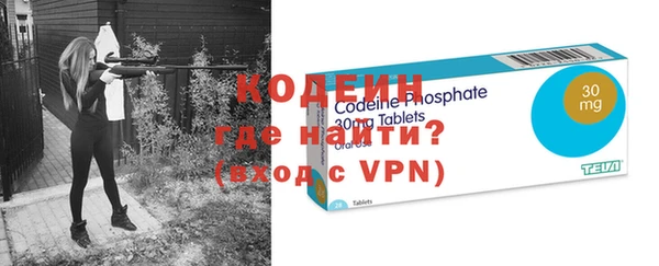 ГАЛЛЮЦИНОГЕННЫЕ ГРИБЫ Корсаков