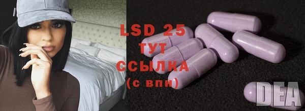 ГАЛЛЮЦИНОГЕННЫЕ ГРИБЫ Корсаков