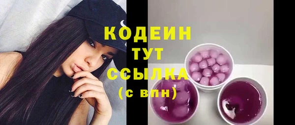 ГАЛЛЮЦИНОГЕННЫЕ ГРИБЫ Корсаков