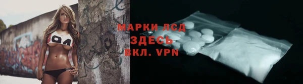 ГАЛЛЮЦИНОГЕННЫЕ ГРИБЫ Корсаков