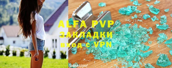 ГАЛЛЮЦИНОГЕННЫЕ ГРИБЫ Корсаков