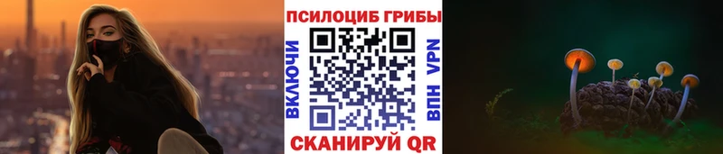 Галлюциногенные грибы MAGIC MUSHROOMS  Купить закладки  Щёкино 